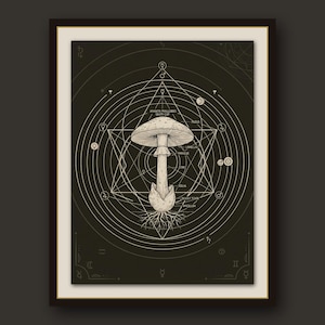 May include: A framed print featuring a detailed botanical illustration of an Amanita phalloides mushroom. The diagram includes labels for pileus, lamellae, annulus, stipe, volva, and mycelium, set against a background of geometric circles and stars.