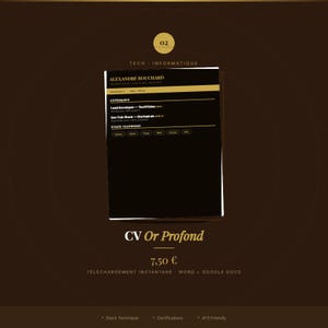 Puede incluir: Una plantilla de currículum titulada CV Or Profond con fondo negro y texto y detalles en dorado. El documento muestra secciones de experiencia, incluyendo los roles de Lead Developer y Dev Full-Stack, y una sección de stack técnico.