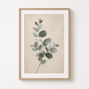 Könnte beinhalten: Ein gerahmter Kunstdruck mit einem einzelnen Eukalyptuszweig mit abgerundeten, salbeigrünen und blaugrauen Blättern, zentriert vor einem einfarbigen, strukturierten beigen Hintergrund. Das Bild befindet sich in einem hellen Holzrahmen mit weißem Passepartout.