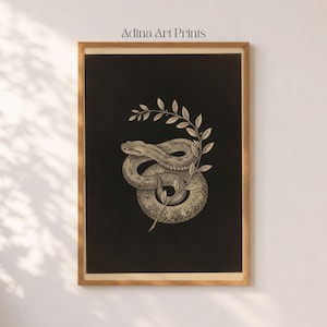 May include: A rectangular wall art print in a light wood frame featuring a black background with a detailed illustration of a coiled snake intertwined with a leafy branch. The text Adina Art Prints is printed in black at the top centre.