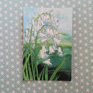 Weiße Glockenblumen Malerei Postkarte, Glockenblumen Malerei Postkarte, weiße Glockenblumen Malerei, weiße Glockenblumen Postkarte, Glockenblumen Kunstkarte, Glockenblumen