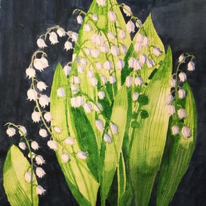 White lily of the valley flowers painting in watercolour.