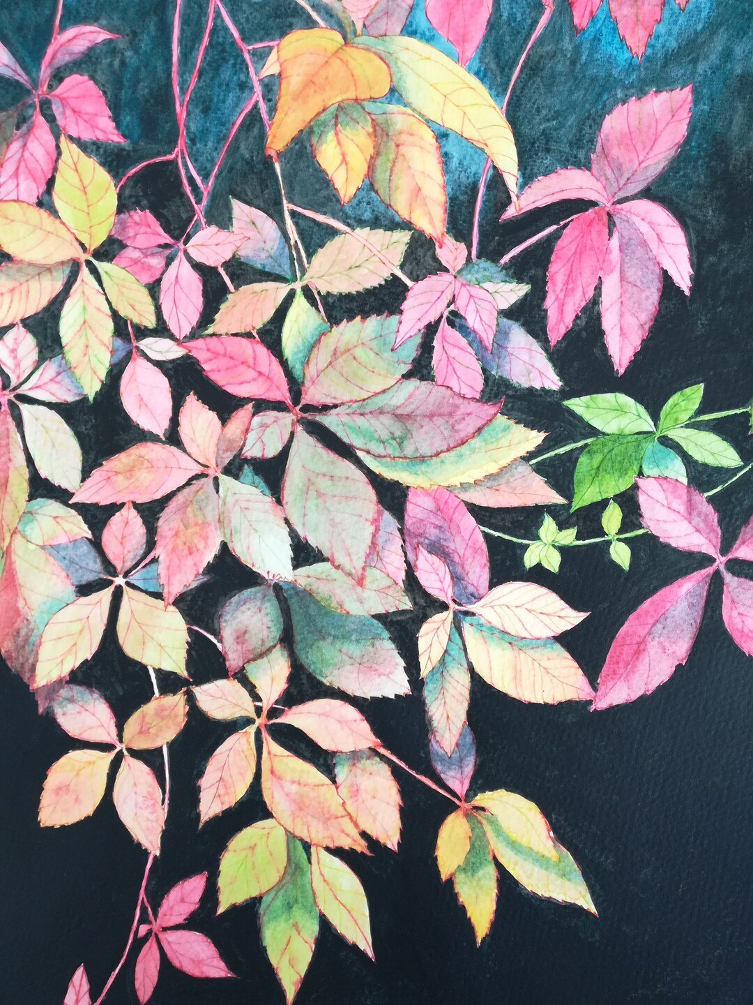 Autumn Leaves, Rainbow Leaves, Autumn Art, Autumn Wall Art, Autumn