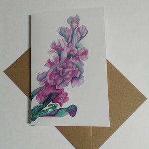 Carte de voeux Matthiola Incana (stock parfumé)