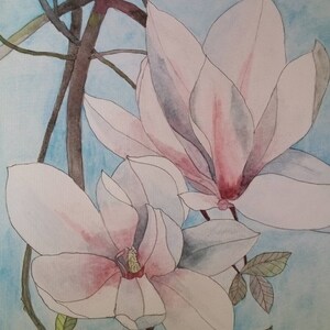 Magnolia blossoms,pink magnolias, blossoms,magnolias,magnolia painting,magnolia flowers,pink flowers,gift for her,pink blossom,spring gift