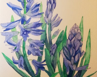 Hyacinths watercolour,hyacinths painting,hyacinths watercolor,hyacinths artwork,hyacinths wall decor,hyacinth,hyacinth artwork,Blue hyacinth