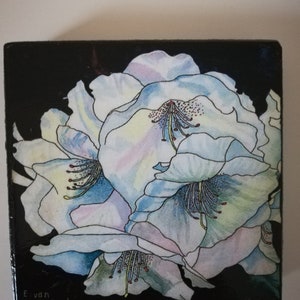 White rhododendron,rhododendron, rhododendron artwork,white rhododendron watercolour,rhododendron Wall art,rhododendron painting print.