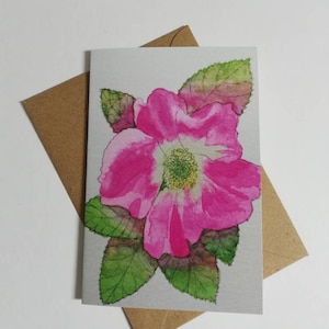Biglietto di auguri con rosa, biglietto con rosa selvatica, biglietto di auguri con rosa selvatica, rosa selvatica rosa, acquerello con rosa selvatica, acquerello con rosa, dipinto con rosa rosa, rosa selvatica.