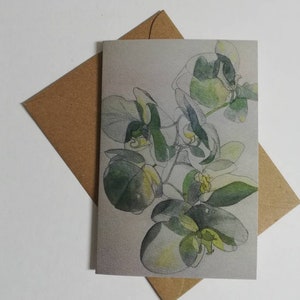 Cartão de felicitações em branco com orquídeas, cartão de felicitações com orquídeas em branco, cartão com orquídeas, cartão com pintura de orquídeas, pintura de orquídeas brancas, cartão com aquarela de orquídeas.