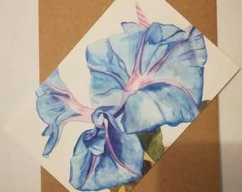 Blue bindweed greetings card, Blue morning glory, morning glories, blank morning glory greetings card, Blue bindweed card, morning glory art