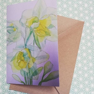 Cartão de felicitações em branco com narcisos, cartão de felicitações em branco com narcisos, cartão de felicitações em branco, cartão de narcisos, cartões de narcisos, narcisos, pintura de narcisos