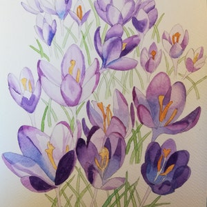 Pintura de açafrões, açafrões roxos, açafrões roxos em aquarela, açafrões em aquarela, arte de parede de açafrão, decoração de parede de açafrão, arte de açafrão, açafrões.