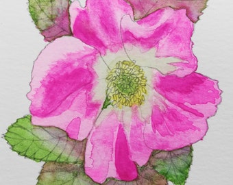 Pink wild rose painting,wild rose painting,wild rose watercolour,wild rose watercolour,affordable flower painting,rose painting,roses art