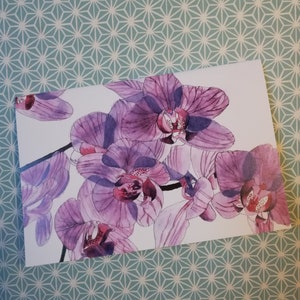 Carte de voeux vierge d'orchidées, carte de voeux d'orchidées vierge, orchidées roses, carte de peinture d'orchidées, peinture d'orchidées violettes, carte d'aquarelle d'orchidées