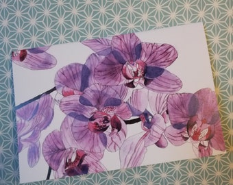 Orchids blank greetings card,blank orchids greeting card,orchids pink,orchids painting card,purple orchids painting,orchids watercolour card