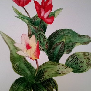 Tulpen Aquarell, Aquarell rote Tulpen, rote Tulpen Wandkunst, Tulpen Wandkunst, Tulpen Wanddekor, rote Blumen Malerei, rote Tulpe