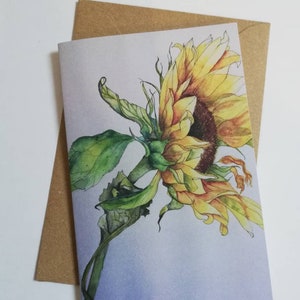 Carte de voeux tournesol, carte de peinture tournesol, carte de tournesol vierge, carte de tournesols, carte de peinture tournesols, carte de voeux vierge, tournesol