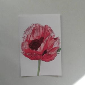 Postal de pintura de acuarela de amapola, arte de postal de amapola roja, postal de pintura de acuarela de amapola roja, ilustraciones de amapolas rojas, tarjeta de arte de amapola roja.