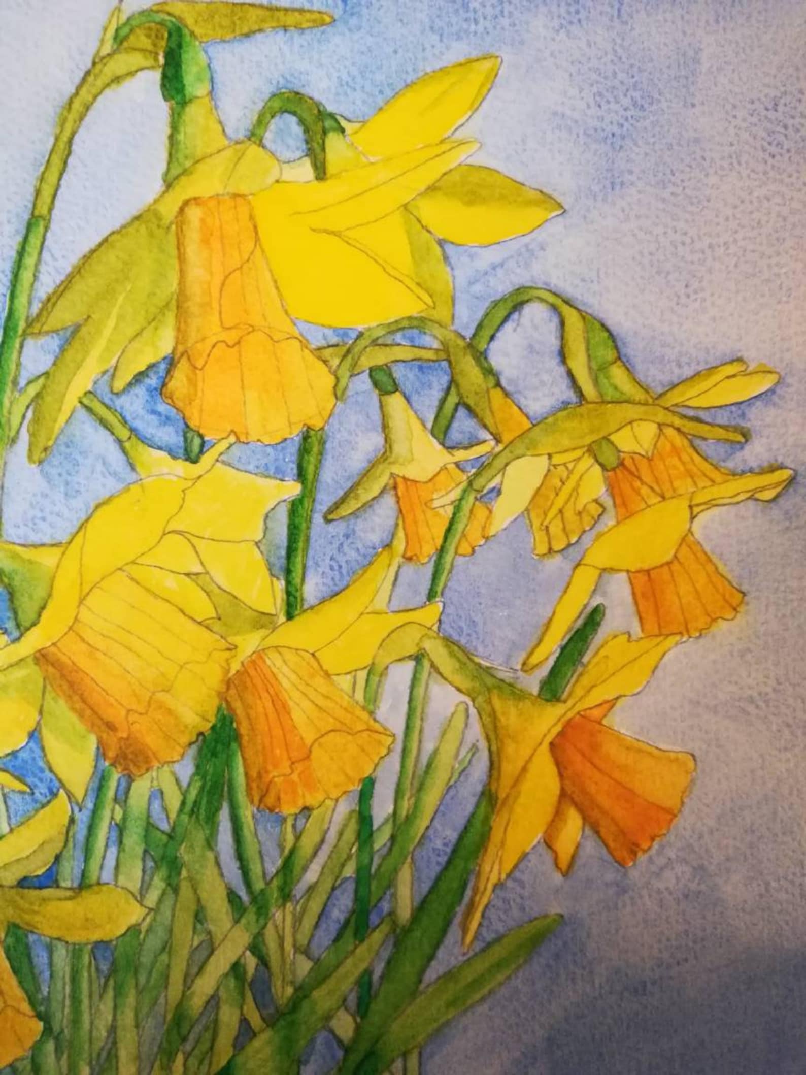 Daffodils Watercolour Painting watercolor Daffodils daffodils Painting daffodils-watercolour-painting-watercolor-daffodils-daffodils-painting