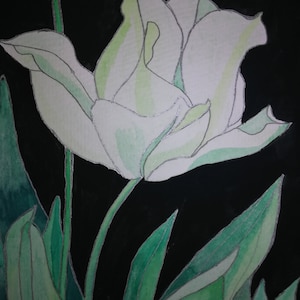 Weiße Tulpen Malerei,Weiße Tulpen Malerei,Weiße Tulpen,Tulpen Kunstwerk,Blumen Malerei,Blumen Kunst,Geschenk für Sie,Tulpen Malerei,Tulpen.