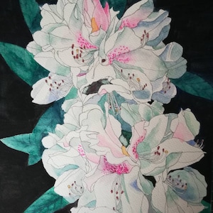 Rhododendron flower painting,rhododendron artwork,rhododendron watercolour,rhododendron wall art,rhododendron wall decor,rhododendron art.