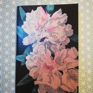 Cartão postal de rododendro, cartão postal de rododendro branco, cartão postal de rododendro rosa, cartão de pintura de rododendro branco, aquarela de rododendro