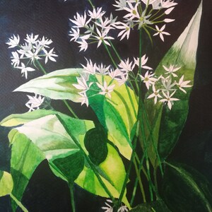 Postal de pintura de flores de ajo blanco, obra de arte de flores de ajo, arte de pared de flores de ajo blanco, pintura de flores de ajo, tarjeta de flores de ajo.