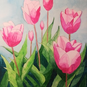Rosa Tulpen Aquarellmalerei