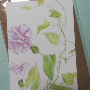Pale bindweed,pale pink morning glory,morning glories,pink morning glories,pink morning glory,pink bindweed,pink blank greetings card,