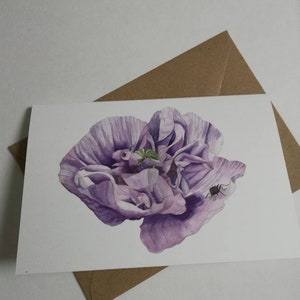 Mohnblume Malerei leere Grußkarte, lila Mohnblume Karte, lila Mohnblumenkarte, lila Mohnblumenmalereikarte, lila Mohnblumenleergrusskarte.
