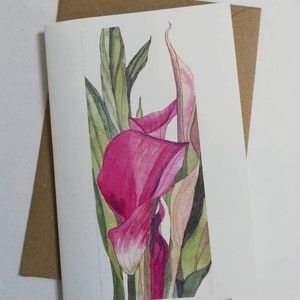 Lírios de Calla rosa, lírios de Calla aquarela cartão de felicitações em branco, cartões de lírios de Calla rosa, cartão de pintura de lírios de Calla rosa, arte de lírios de Calla