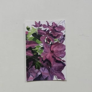 Clematis Postkarte, Clematis Malerei Postkarte, Clematis Kunstkarte, Postkarte Clematis, lila Clematis Postkarte, Clematis Malerei Karte, Clematis.