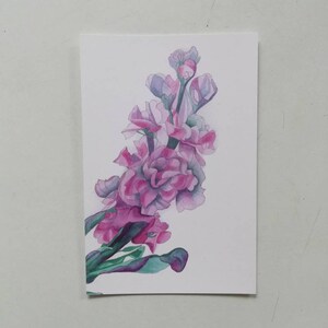 Carte postale de fleurs roses, carte postale de fleurs roses, tableau fleurs roses, oeuvre d'art fleurs roses, carte postale parfumée, matthiola.