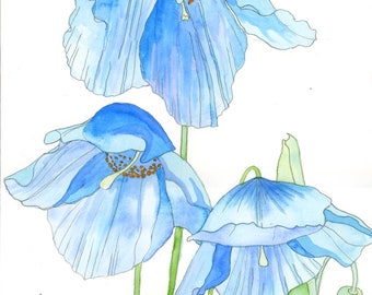 Original Watercolour painting,Blue poppies,poppies,poppy,poppy painting,blue poppy, blue flowers,blue flower art,gift for her,watercolor art