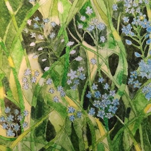 Vergissmeinnicht Aquarellmalerei