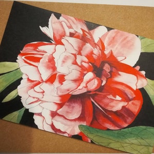 Pink peony rose watercolour painting card,pink peony rose blank greetings card,peony rose card,peony greeting card,peony card,pink peonies.