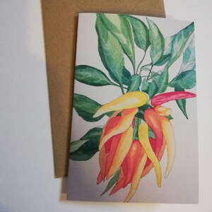 Tarjeta de felicitación en blanco con pintura de pimientos en acuarela, tarjeta de pintura de pimientos en acuarela, tarjeta de felicitación de pimientos en blanco, chiles en acuarela.