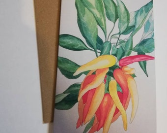 Poivrons aquarelle peignant une carte de voeux vierge, carte de peinture aquarelle de poivrons, carte de voeux vierge de poivrons, piments aquarelle.
