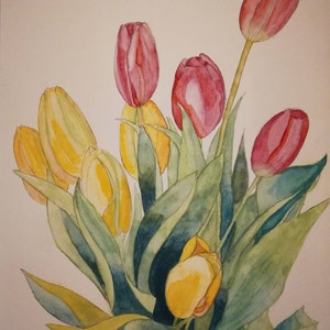 Cartolina di tulipani, tulipani acquerelli, tulipani rosa, tulipani gialli, opere d'arte di tulipani, tulipano, acquerello di tulipani, pittura di tulipani, arte da parete di tulipani, tulipani.