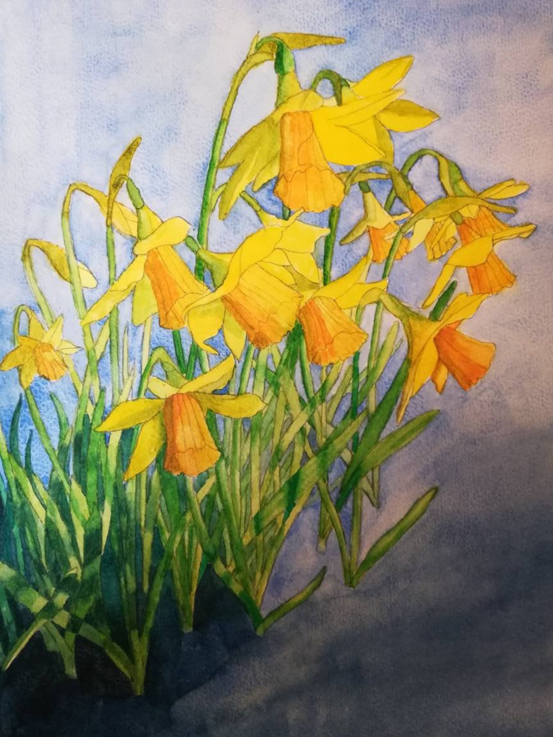 Daffodils Watercolour Painting Watercolor Daffodils Daffodils Painting