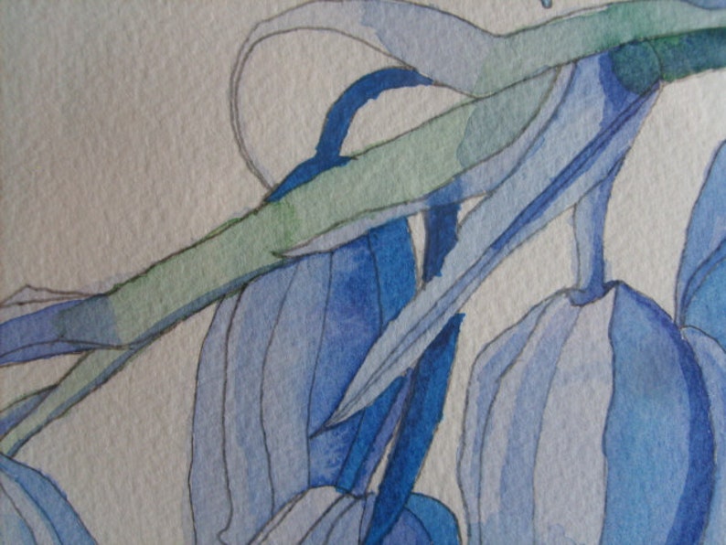 Bluebells,bluebells Watercolor,bluebells Watercolour, Bluebells