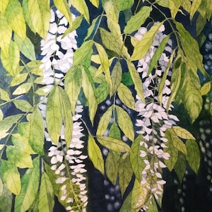 Wisteria watercolour painting,wisteria watercolor art,wisteria watercolor painting,wisteria wall art, wisteria wall decor,white wisteria.