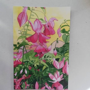 Postal de fucsias, postal de pintura de fucsias rosas, pintura de acuarela de fucsias rosas, acuarela de fucsias rosas, pintura de fucsias rosas, fucsia