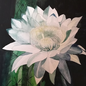 Dipinto ad acquerello di un fiore di cactus bianco, cactus bianco, fiore di cactus che sboccia di notte, opera d'arte di un fiore di cactus bianco, dipinto di un fiore di cactus bianco.
