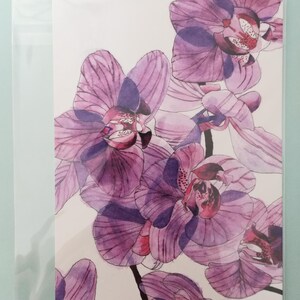 Carte postale d'orchidées roses, carte postale d'orchidées violettes, oeuvre d'art d'orchidées violettes, orchidées roses, carte postale de peinture de fleurs roses, carte d'art d'orchidées violettes.
