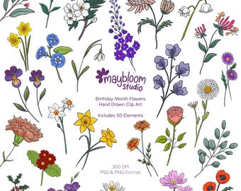 Cute Birth Month Flower Clipart Bundle- Hand Drawn - Birthday Month - Floral Design Elements PNG for invites, scrapbooking, digital art.