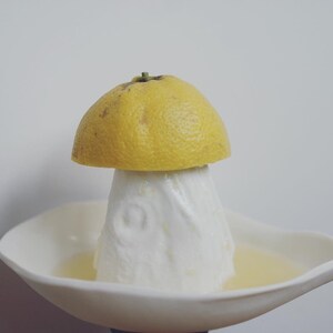 presse citron lemon squeezer image 3