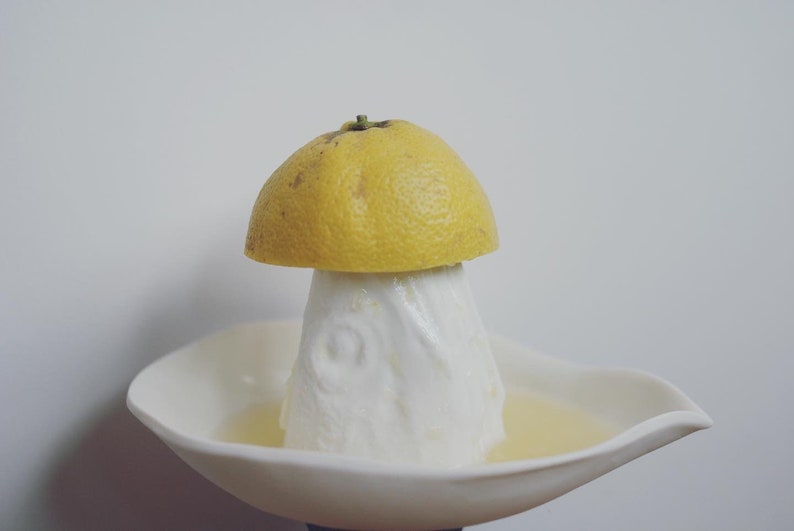presse citron lemon squeezer image 3