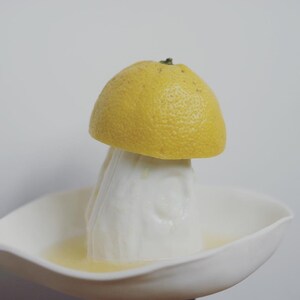 presse citron lemon squeezer image 4