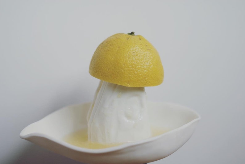 presse citron lemon squeezer image 4